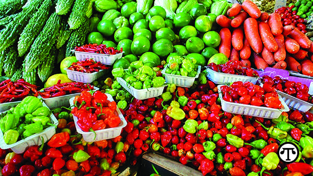 Tips to help families improve health