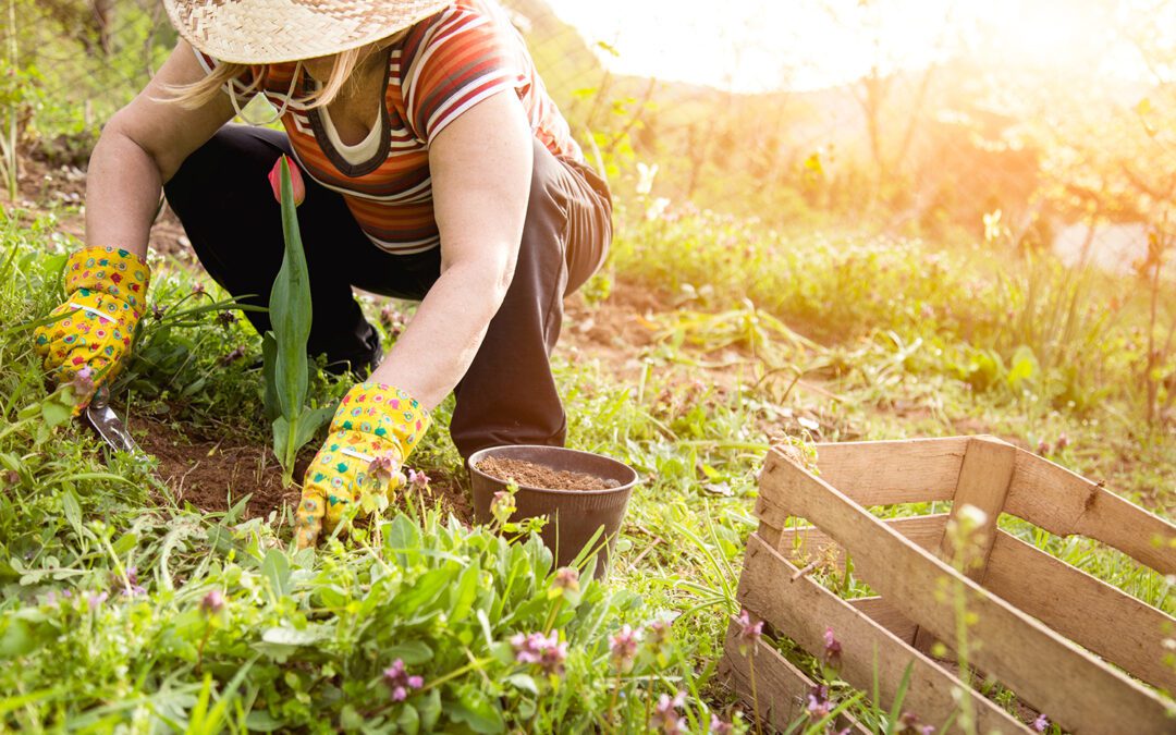How to conquer gardening pain