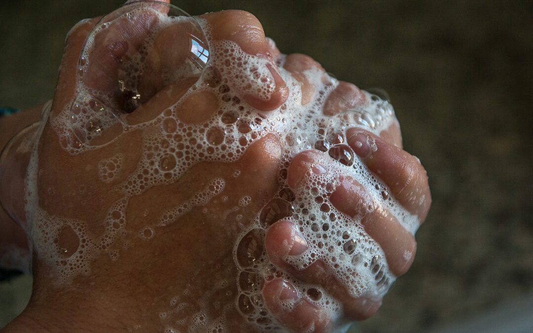 Four simple steps to help safeguard your health
